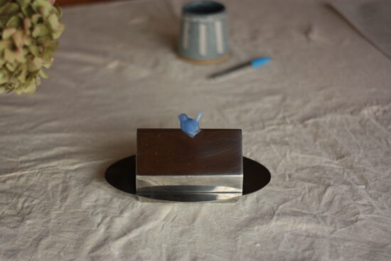 Beurrier au petit oiseau bleu